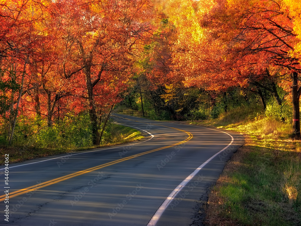 Fototapeta premium Bend in the Fall Road