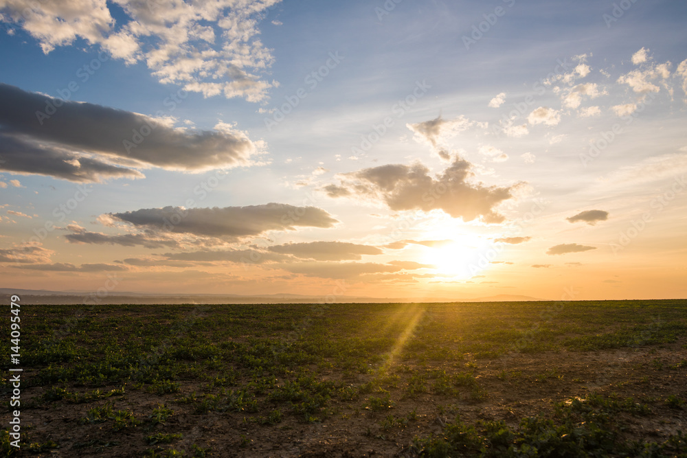 Green field and beautiful sunset. Early spring Green field and beautiful sunset. Early spring
