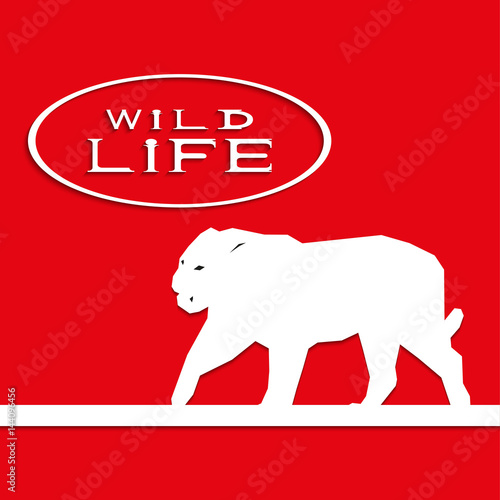 Tiger on a red background with the inscription "wild life". Vector illustration.