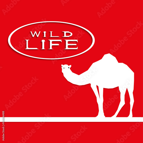 A camel on a red background with the inscription "wild life". Vector illustration.