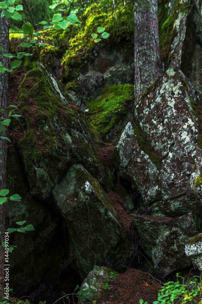 Picturesque black stones among green moss in the forest Picturesque black stones among green moss in the forest
