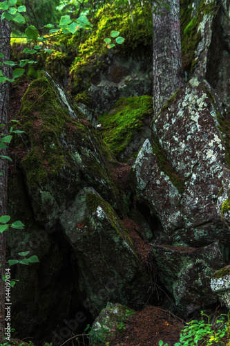 Picturesque black stones among green moss in the forest