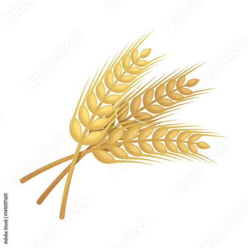 Sprigs of wheat. Plant for brewing beer. Pub single icon in cartoon style vector symbol stock illustration.