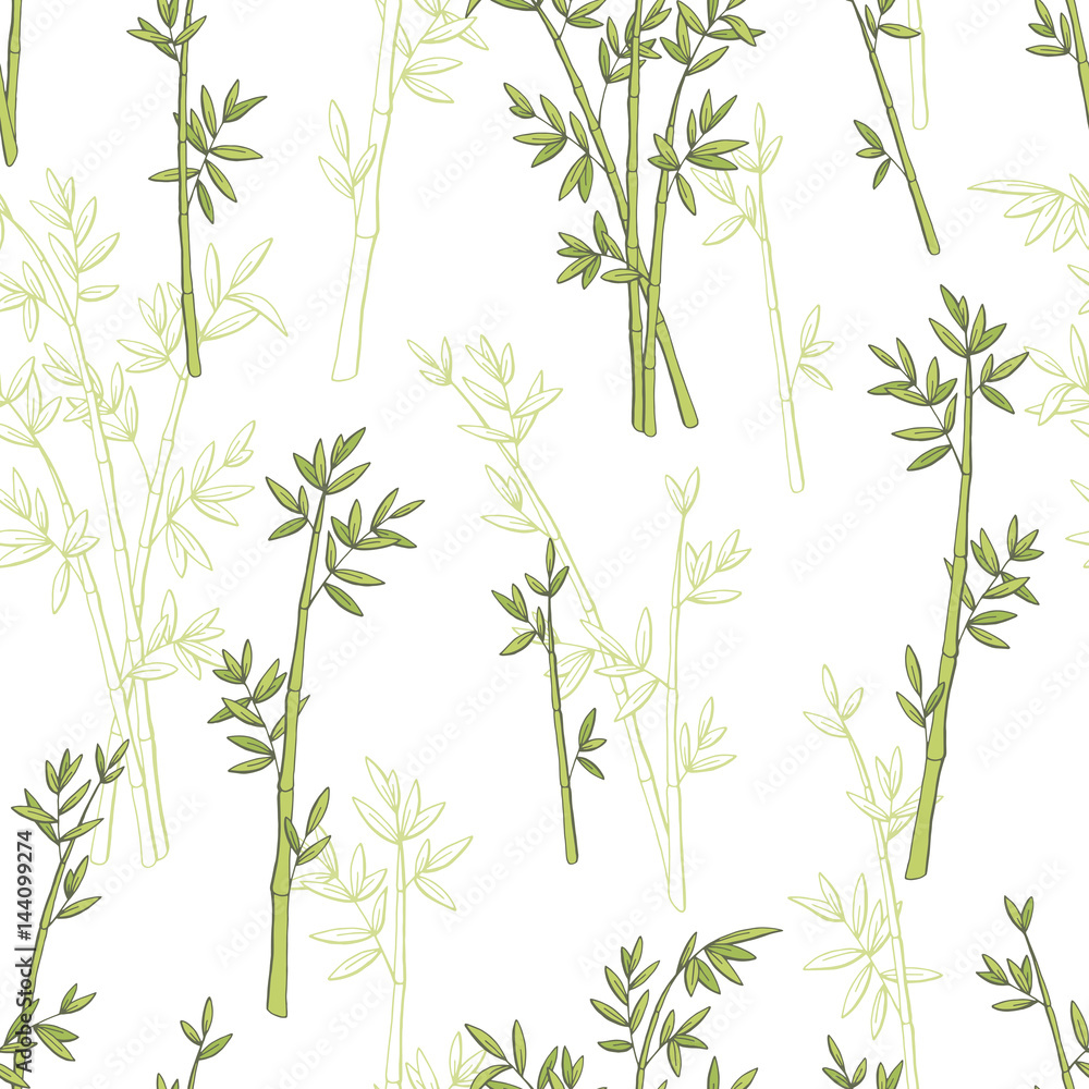 Obraz premium Bamboo plant graphic green color seamless pattern sketch illustration vector
