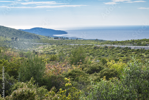 Landscape from Hvar island, Croatia