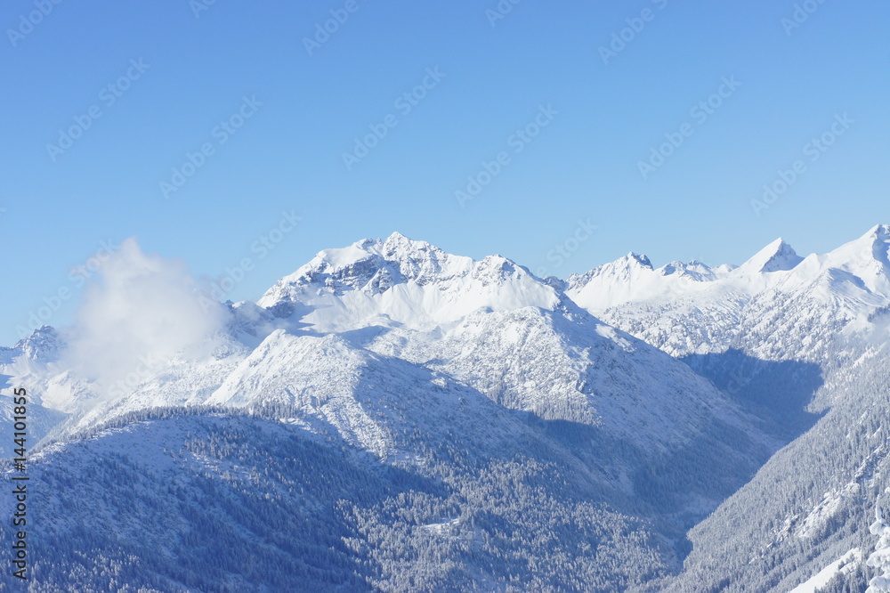 Austrian Mountain