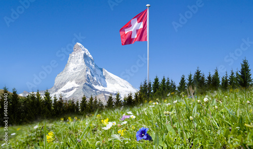 Matterhorn mit Bergwiese photo