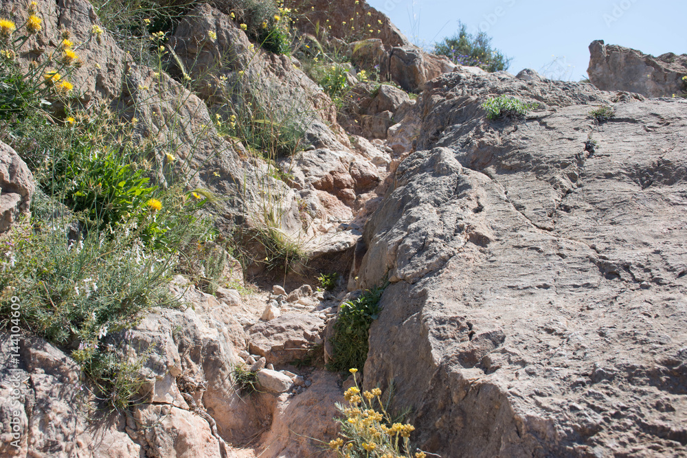 Obraz premium A path leading to an abandoned castle on top of a mountain in Spain