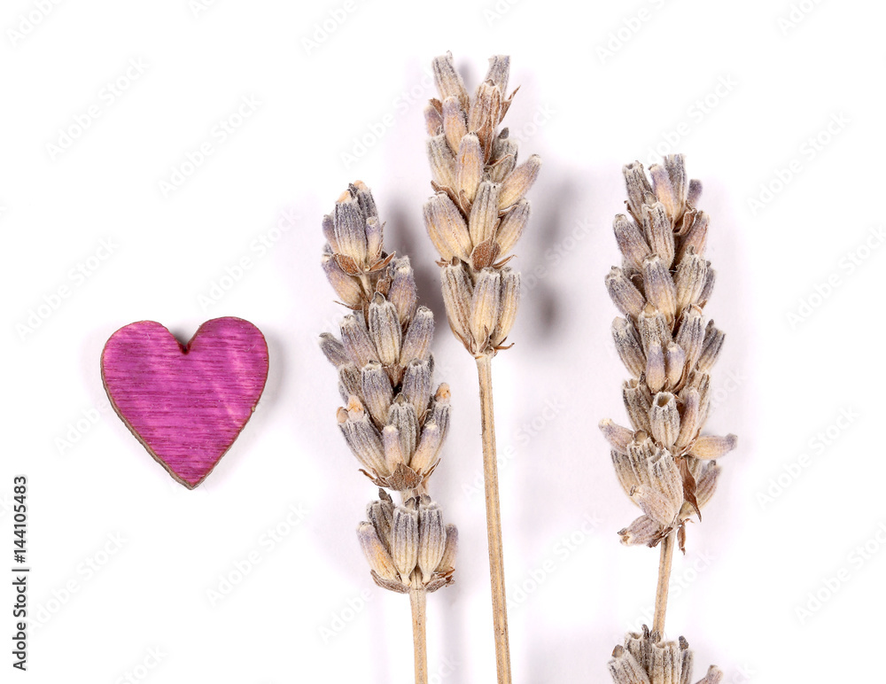 цветы лаванды лежат на белом фоне рядом сердце сиреневого цвета Stock Photo  | Adobe Stock