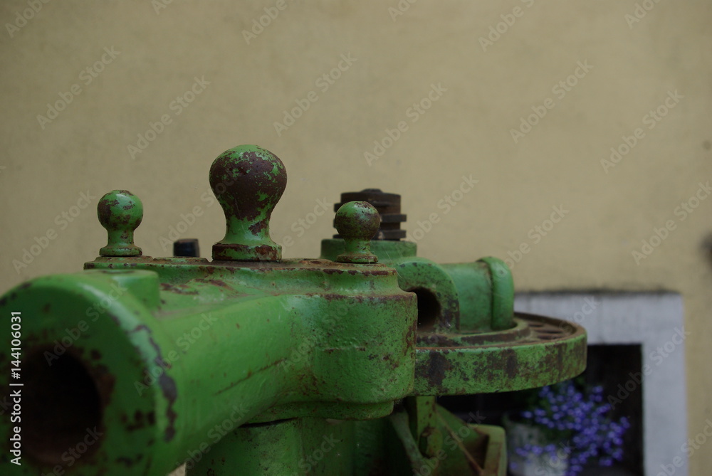 Fototapeta premium Wine press head