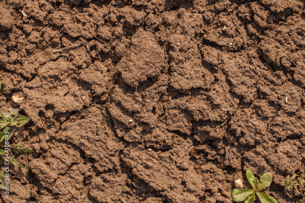 Dry cracked soil. background Dry cracked soil. background