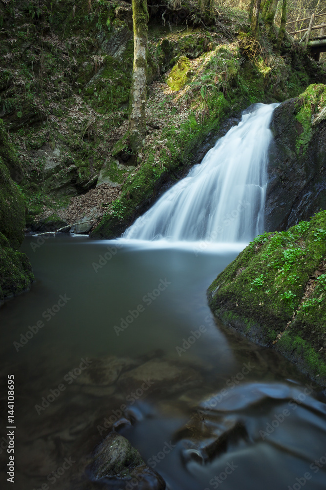 Naklejka premium Waterfall in the green forest