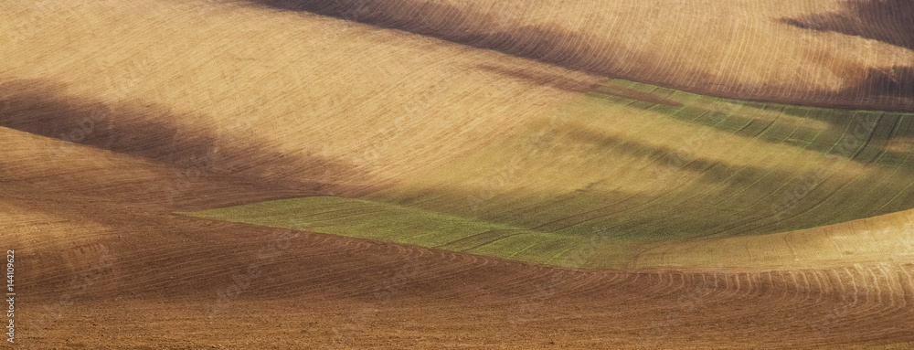 Panoramic view of cultivated field in South Moravia, Czech Republic. Beautiful wavy fields in springtime. Rolling hills in Moravian Tuscany. 