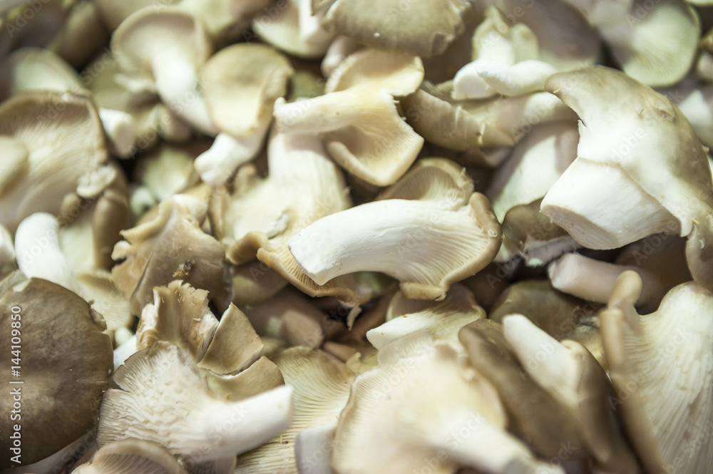 Fototapeta premium Setas