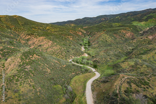 Road winds through the hills of the California wilderness.