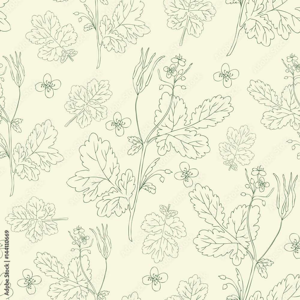 Fototapeta premium Celandine flower hand drawn graphic vector botanical illustration, seamless floral pattern, ink sketch isolated on light background, medical plant, line art for card, natural medicine, design