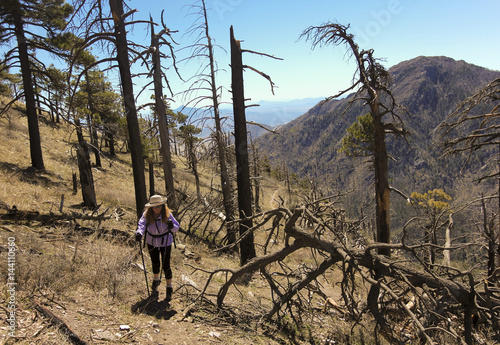 A Hiker Makes Her Way Through Forest Fire Devastation