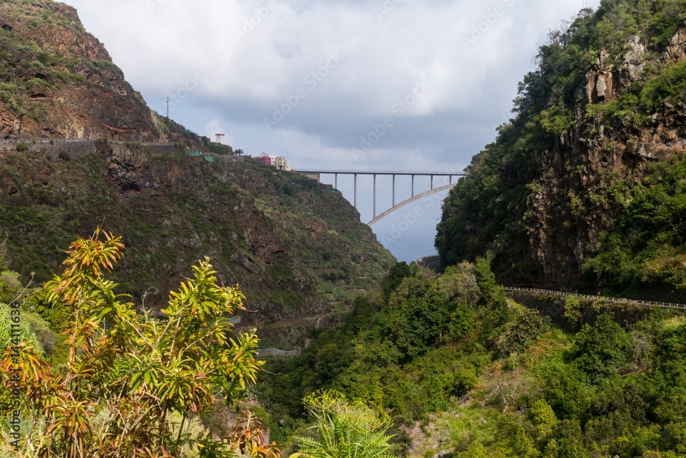 Fototapeta premium Brücke durch wundervolles Grün in der Mitte von La Palma