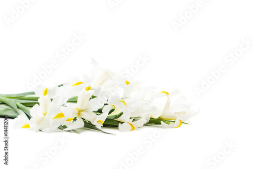 Fototapeta Naklejka Na Ścianę i Meble -  Bouquet of iris flowers isolated on a white
