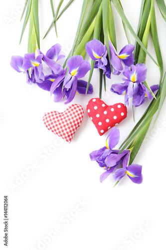 Fototapeta Naklejka Na Ścianę i Meble -  Bouquet of iris flowers on white background