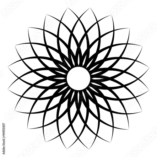 Flower pattern petal flower...