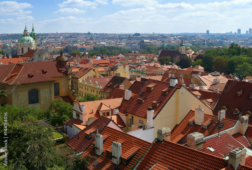 Prague. A city landscape with a roofs