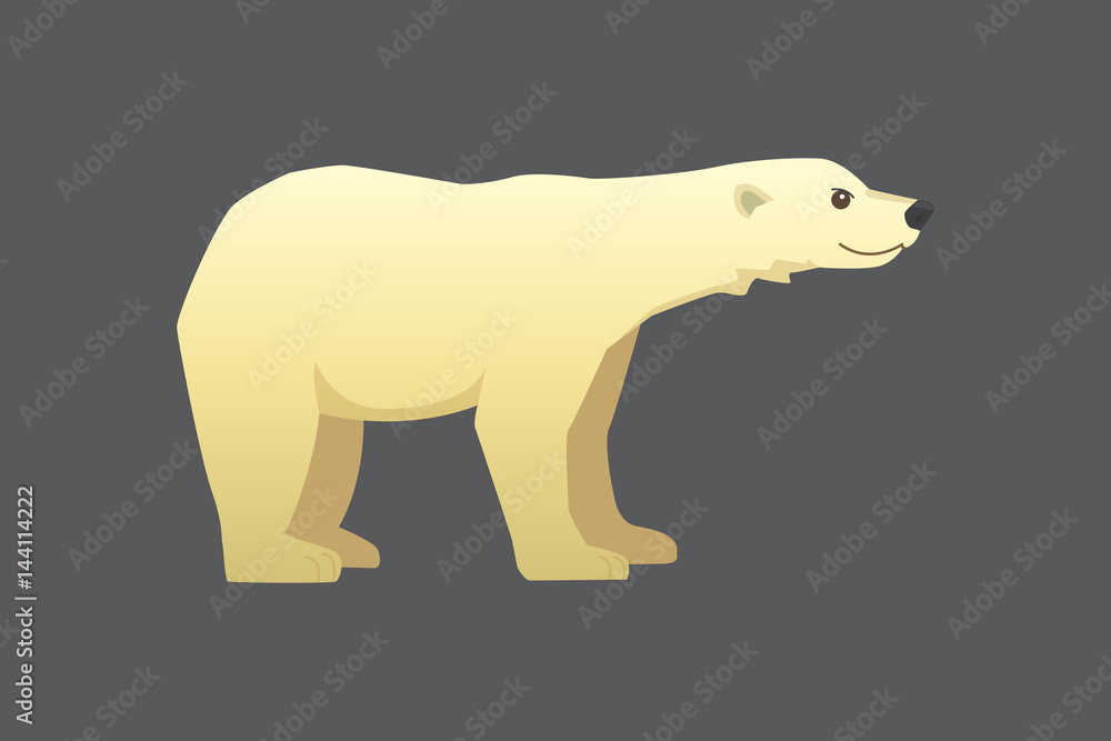 Polar white bear vector cartoon arctic animal. Polar white bear vector cartoon arctic animal.