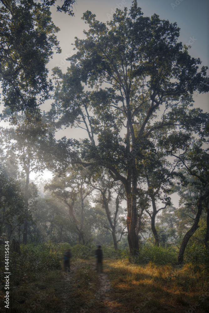 Chitwan National Park Chitwan National Park
