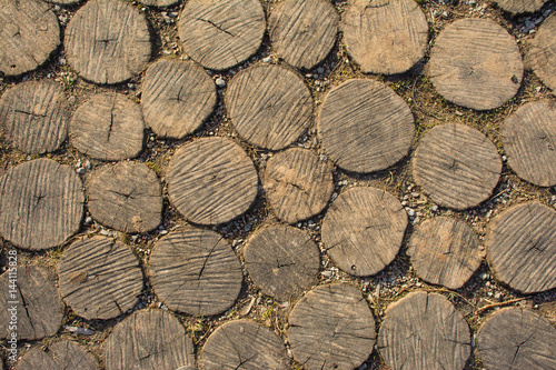 texture of the cut logs