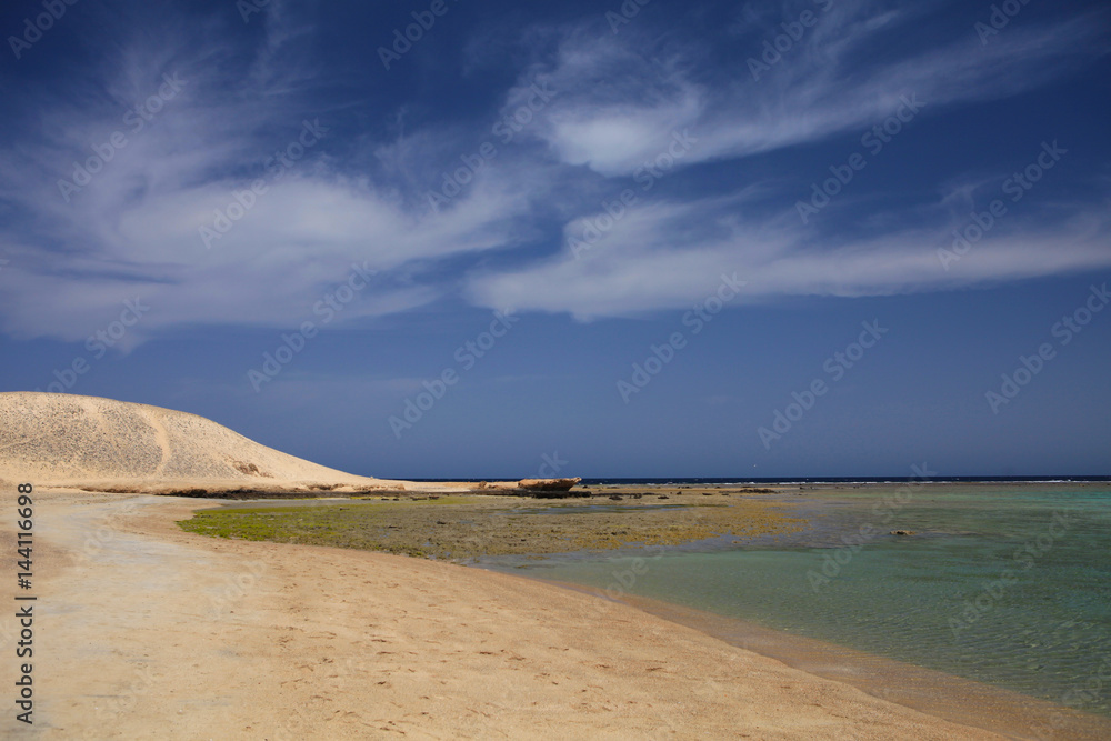 Marsa Mubarak, protected bay of Marsa Alam, Egypt, where can be seen Dugong (sea cow) and sea turtles. Marsa Mubarak, protected bay of Marsa Alam, Egypt, where can be seen Dugong (sea cow) and sea turtles.