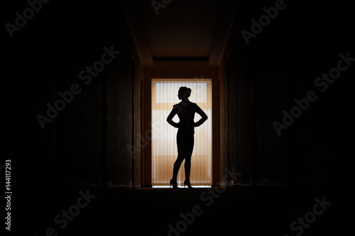Silhouette of young business woman standing in the office.