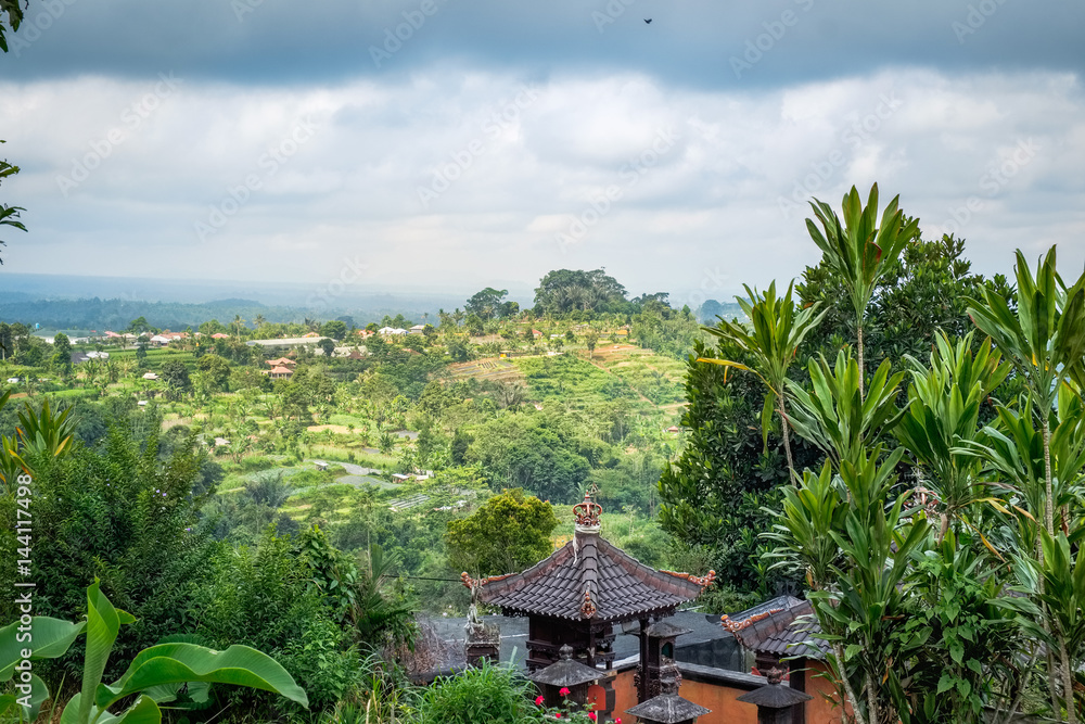 Above green terraced rice field and traditional rural architecture of Bali island. South East Asia mountain landscape, travel background photography. Amazing tropical nature of Indonesia.