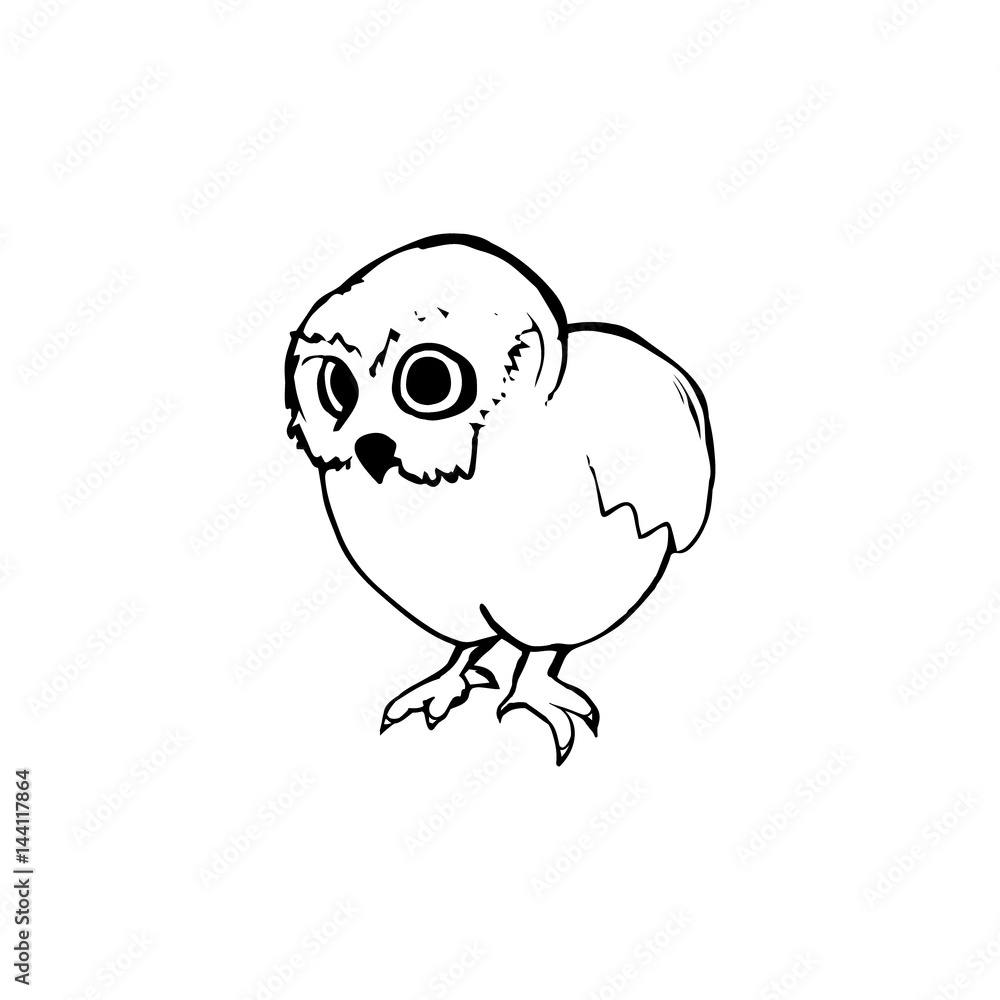 Little owl - a graphic image on white background, vector Little owl - a graphic image on white background, vector