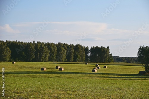 hay bale on the Latvian farm field