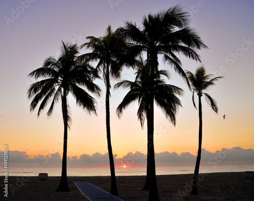Hollywood Beach Sunrise / Sunrise at Hollywood Beach, Florida