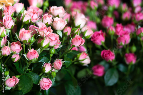 Street flower market. Different roses