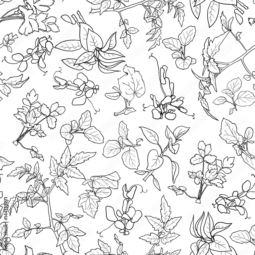 Seamless pattern with various black and white plants - seedlings of vegetables. Vector illustration. Seamless pattern with various black and white plants - seedlings of vegetables. Vector illustration.