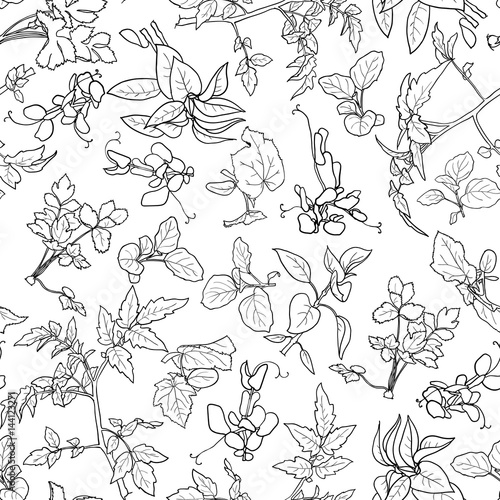 Seamless pattern with various black and white plants - seedlings of vegetables. Vector illustration.