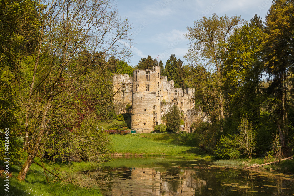 Ruins of the medieval Beaufort castle, Luxembourg