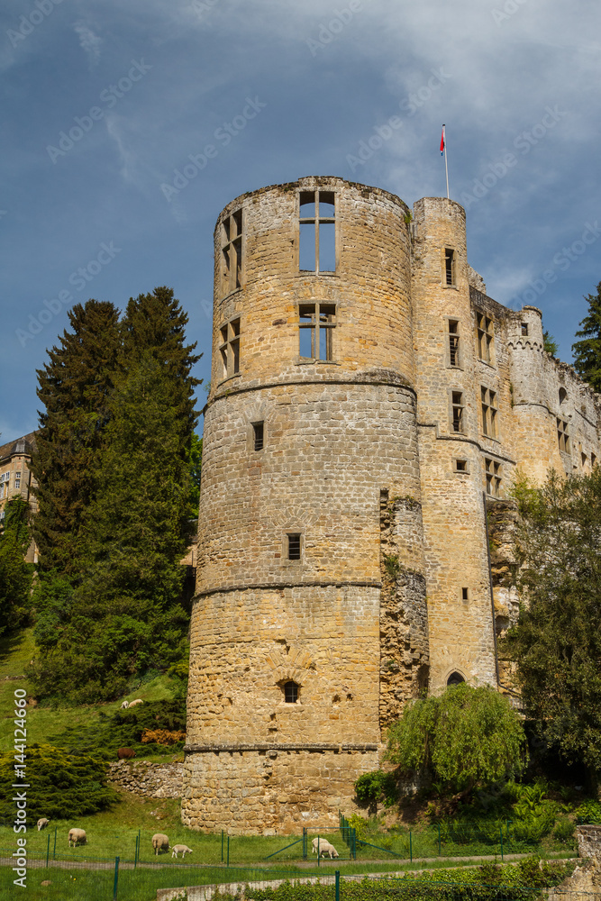 Ruins of the medieval Beaufort castle, Luxembourg