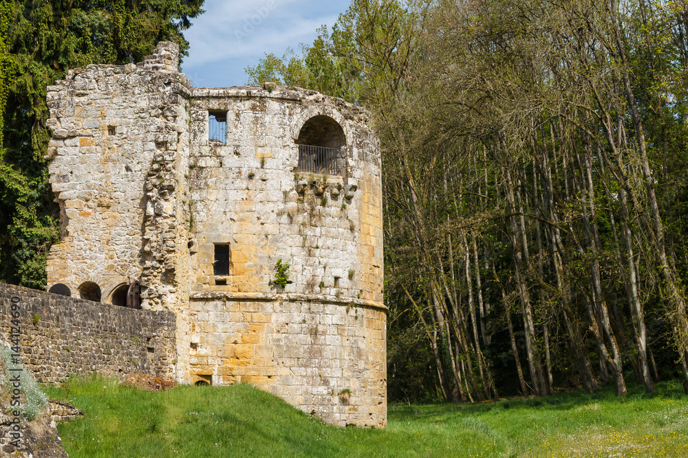 Ruins of the medieval Beaufort castle, Luxembourg Ruins of the medieval Beaufort castle, Luxembourg