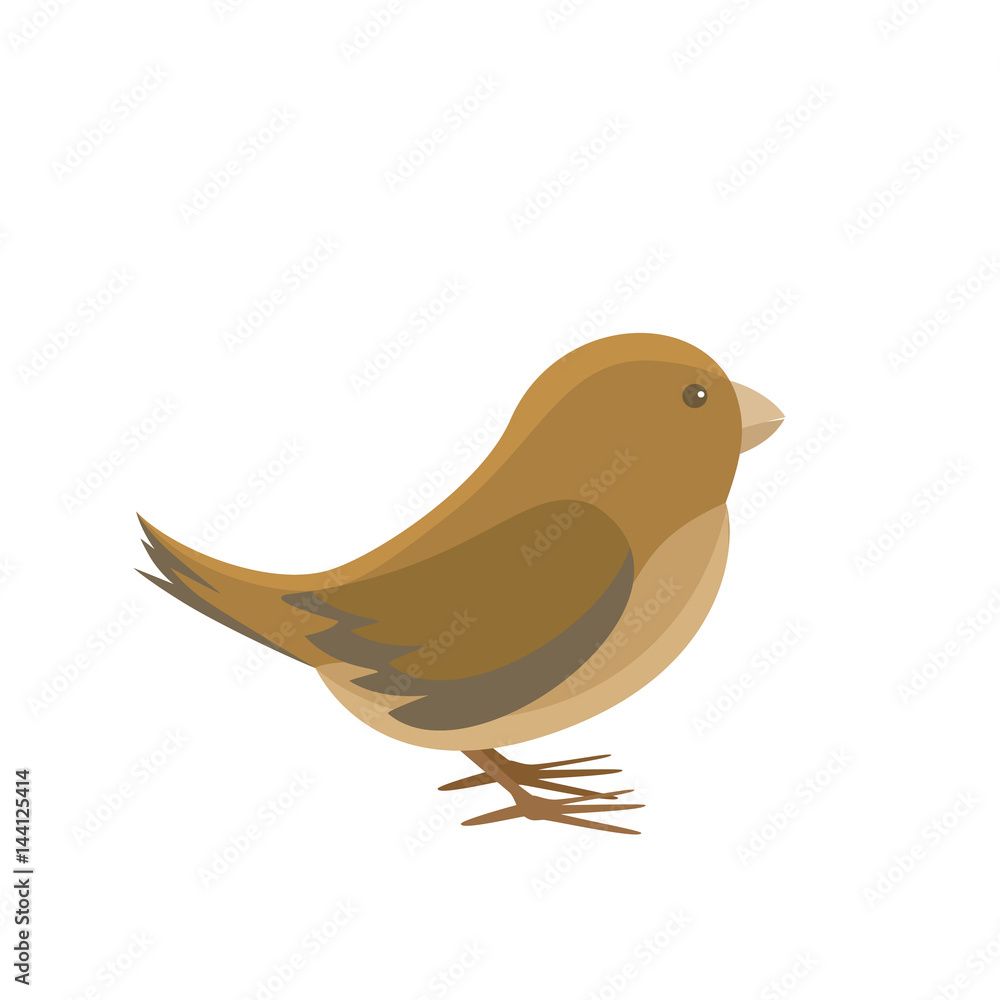 World Sparrow Day. Vector illustration of the date of sparrows. Cute sparrow card for world sparrow day. World Sparrow Day. Vector illustration of the date of sparrows. Cute sparrow card for world sparrow day.