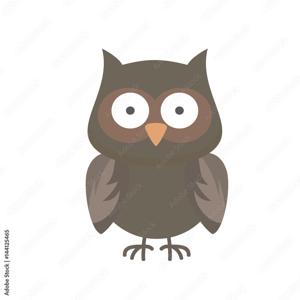 Owl Owl