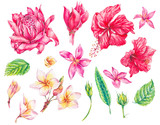 Watercolor set of vintage floral elements