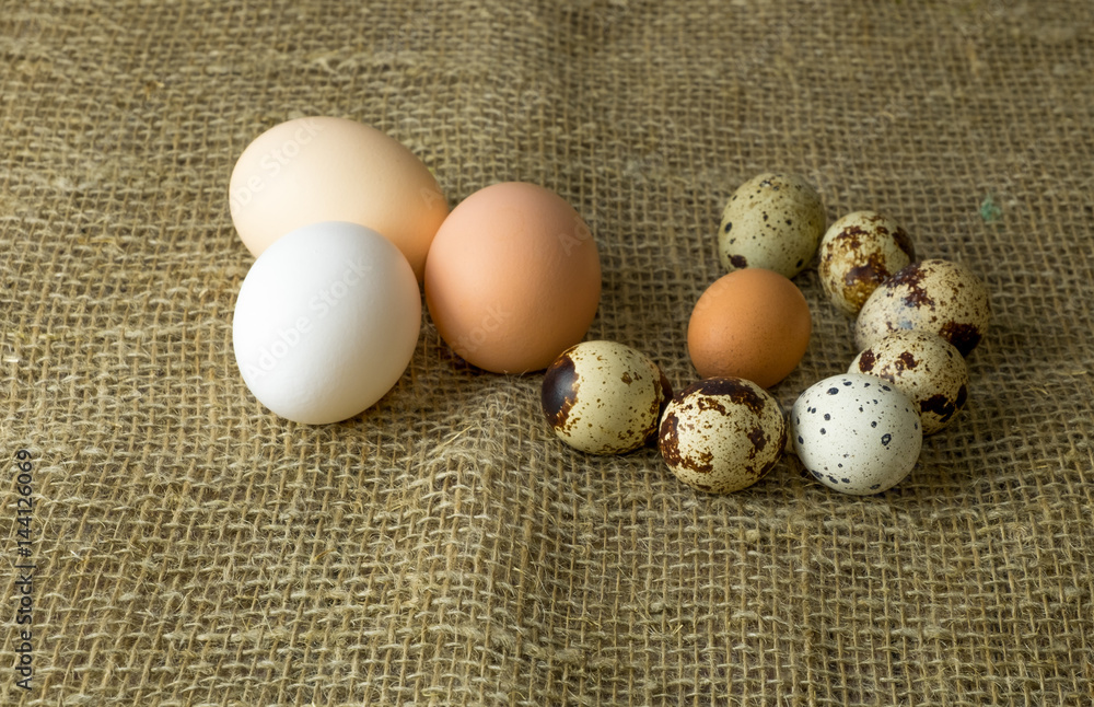 three chicken eggs and quail eggs Guinea fowl egg are lying together on a wooden table three chicken eggs and quail eggs Guinea fowl egg are lying together on a wooden table