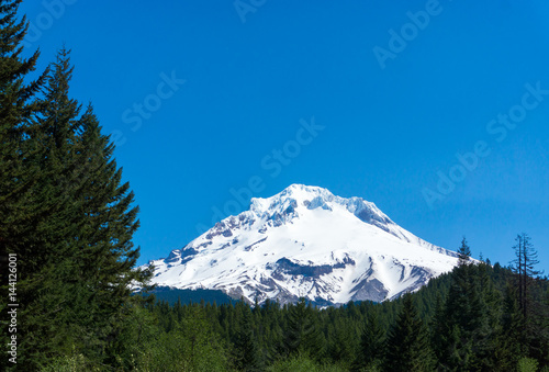 Mt Hood and Forest © jkraft5