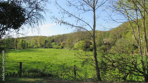 La vallée de La Bièvre, rivière à Buc 