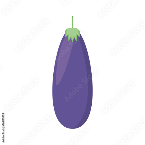 eggplant vegetable fresh rice vector illustration eps 10