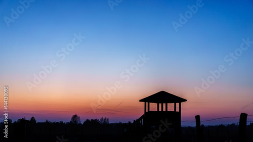 sunset over a forest