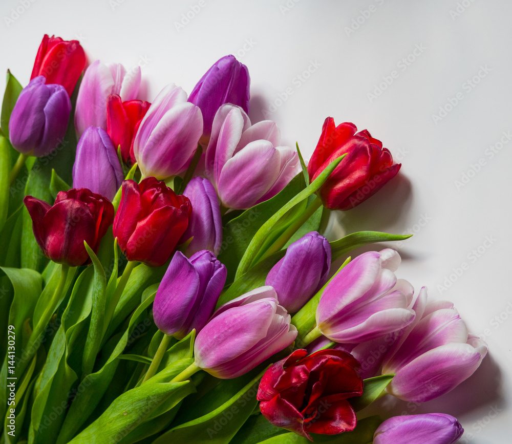 Colorful tulips lie on table. Close-up of a bouquet of tulips on a light background. Beautiful bouquet of colorful tulips. Macro shot. Spring time, Happy Mothers Day Colorful tulips lie on table. Close-up of a bouquet of tulips on a light background. Beautiful bouquet of colorful tulips. Macro shot. Spring time, Happy Mothers Day